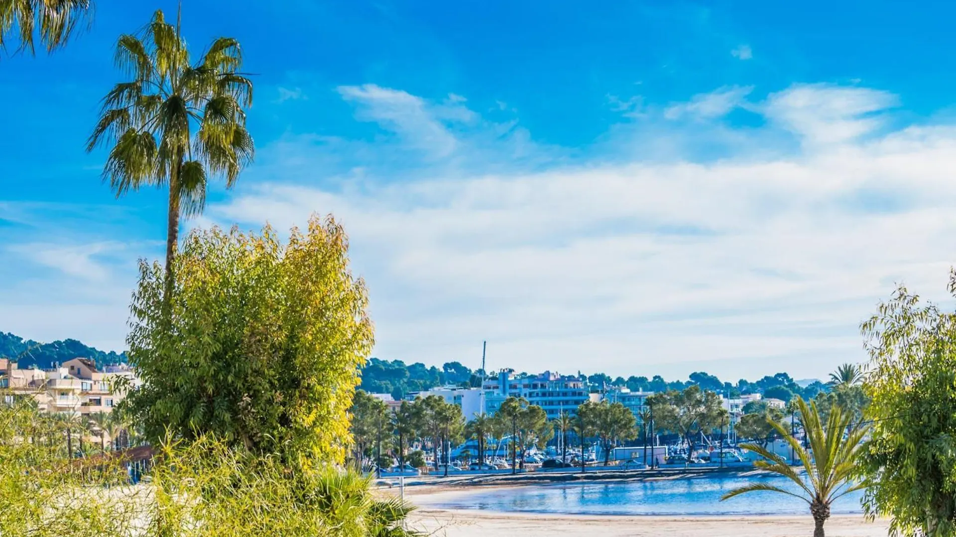 Apartment With Views Of The Bay Of Pollenca Alcudia